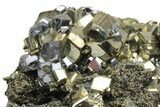 Lustrous Galena Crystals on Gleaming Pyrite and Sphalerite - Peru #231567-2